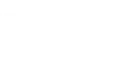 It´s a Bird